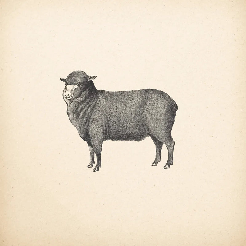 Down on the Farm II No Words by Wild Apple Portfolio. SKU 91360a. Archival Giclee Fine art print for wall decor.