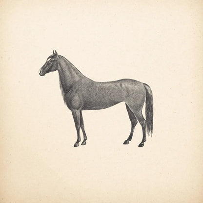 Down on the Farm IV No Words by Wild Apple Portfolio. SKU 91362a. Archival Giclee Fine art print for wall decor.