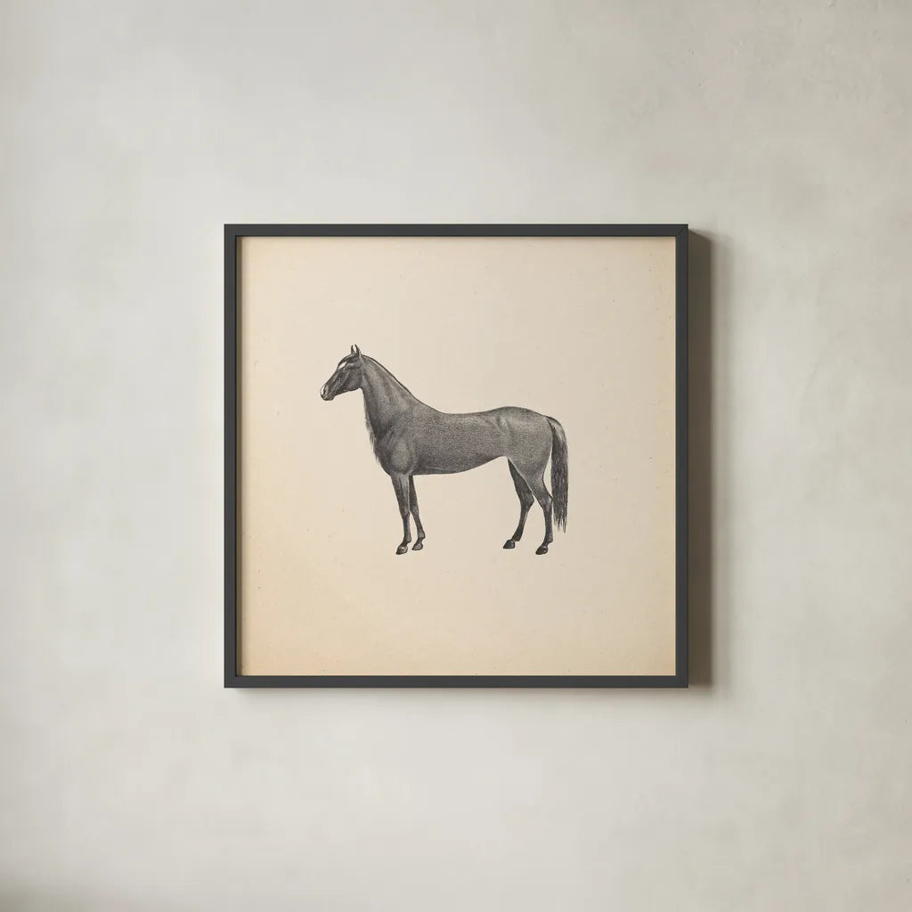 Down on the Farm IV No Words by Wild Apple Portfolio. Shown in a sleek black glass frame for a contemporary gallery look. Available as an archival giclee rolled canvas, fine art paper, or poster print. SKU 91362a.