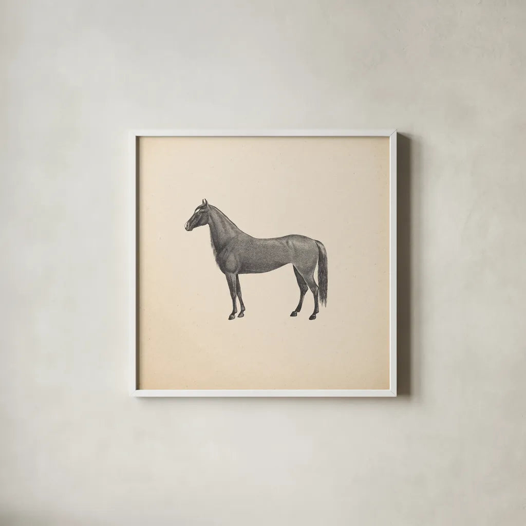 Down on the Farm IV No Words by Wild Apple Portfolio. Shown in a crisp white glass frame for a clean and minimalist style. Available as an archival giclee rolled canvas, fine art paper, or poster print. SKU 91362a.