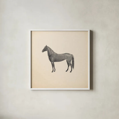 Down on the Farm IV No Words by Wild Apple Portfolio. Shown in a crisp white glass frame for a clean and minimalist style. Available as an archival giclee rolled canvas, fine art paper, or poster print. SKU 91362a.