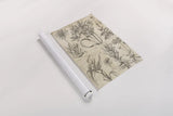 Eden Antique Bookplate I by Wild Apple Portfolio. shown as a rolled paper print. Available as archival giclee rolled canvas, fine art paper, or poster print. SKU 18750h.