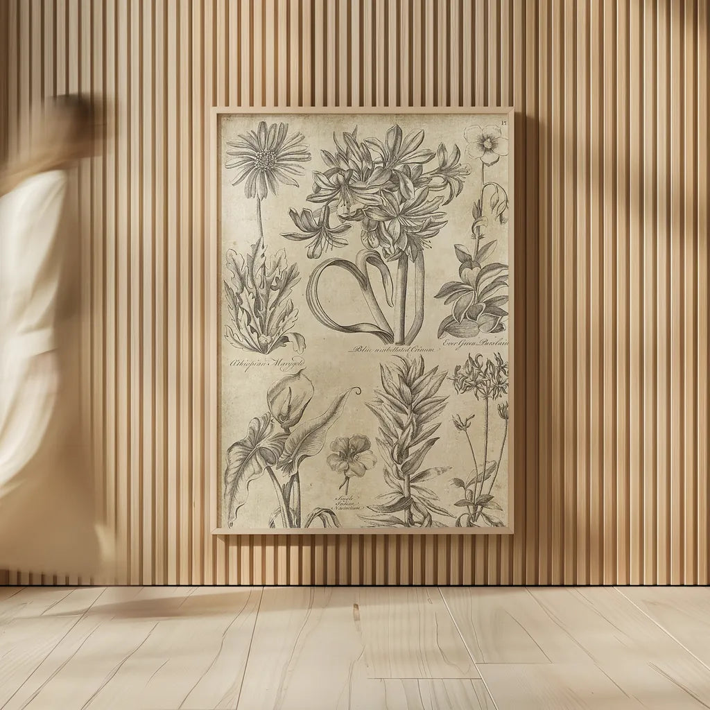 Eden Antique Bookplate I by Wild Apple Portfolio. shown as over sized large wall art. Available as an archival giclee rolled canvas, fine art paper, or poster print. SKU 18750h.