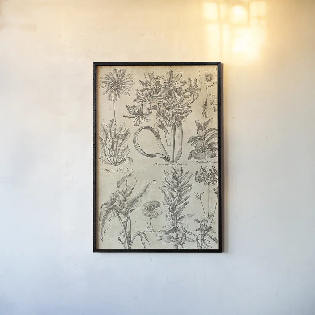 Eden Antique Bookplate I by Wild Apple Portfolio. shown as a paper print in a black flame. Available as a archival giclee rolled canvas, fine art paper, or poster print. SKU 18750h.