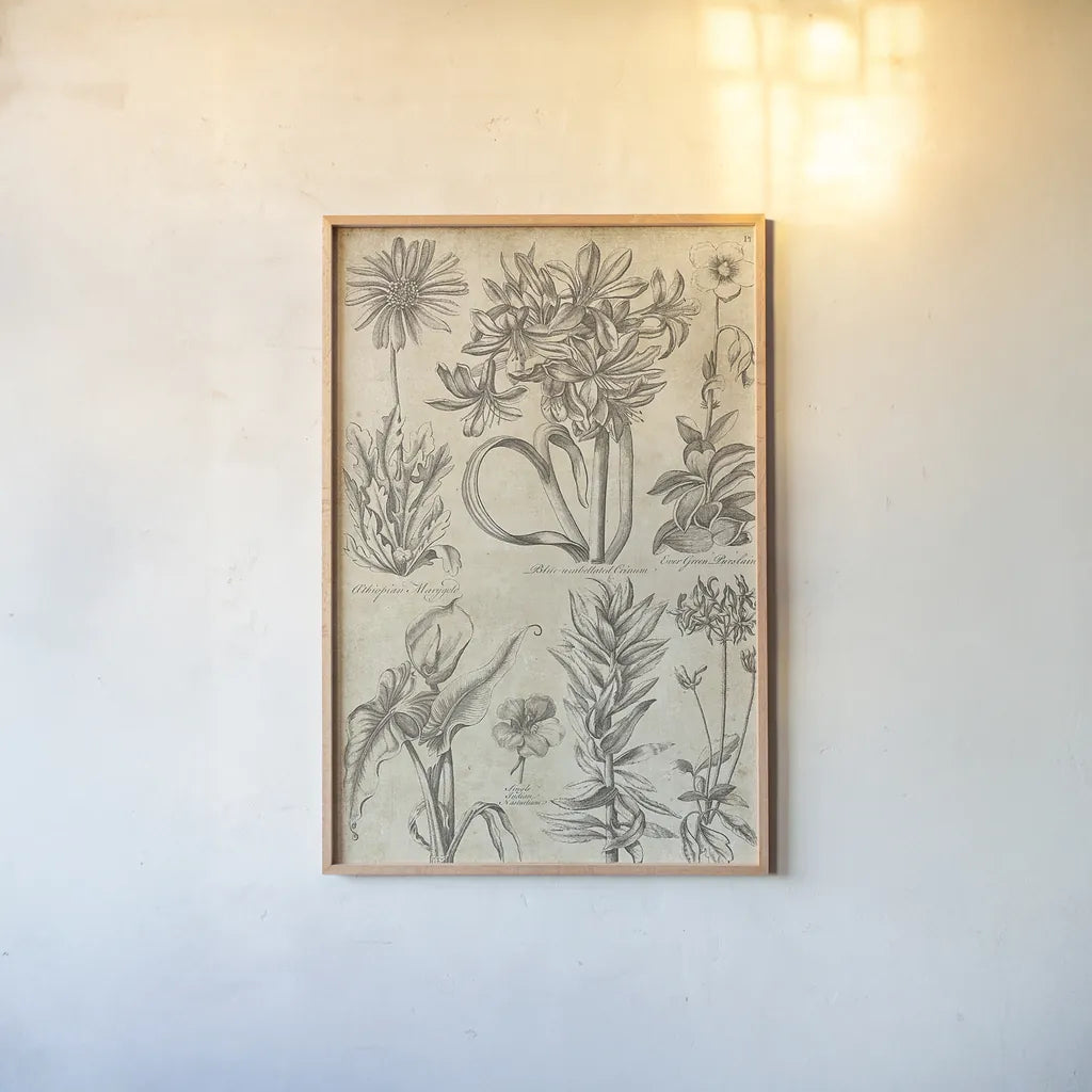Eden Antique Bookplate I by Wild Apple Portfolio. shown as a paper print in a natural frame. Available as a archival giclee rolled canvas, fine art paper, or poster print. SKU 18750h.