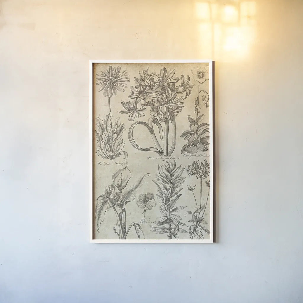 Eden Antique Bookplate I by Wild Apple Portfolio. shown as a paper print in a white frame. Available as a archival giclee rolled canvas, fine art paper, or poster print. SKU 18750h.
