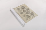 Eden Antique Bookplate II by Wild Apple Portfolio. shown as a rolled paper print. Available as archival giclee rolled canvas, fine art paper, or poster print. SKU 18751h.