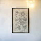 Eden Antique Bookplate II by Wild Apple Portfolio. shown as a paper print in a black flame. Available as a archival giclee rolled canvas, fine art paper, or poster print. SKU 18751h.