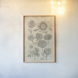 Eden Antique Bookplate II by Wild Apple Portfolio. shown as a paper print in a natural frame. Available as a archival giclee rolled canvas, fine art paper, or poster print. SKU 18751h.