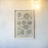 Eden Antique Bookplate II by Wild Apple Portfolio. shown as a paper print in a white frame. Available as a archival giclee rolled canvas, fine art paper, or poster print. SKU 18751h.