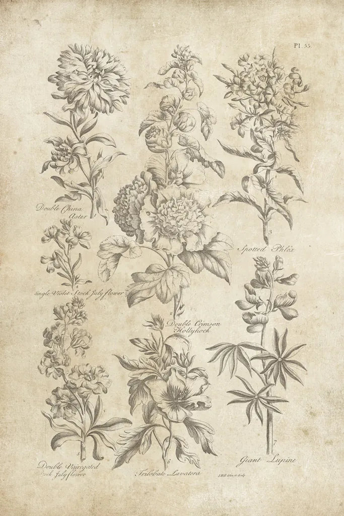 Eden Antique Bookplate III by Wild Apple Portfolio. SKU 26863h. Archival Giclee Fine art print for wall decor.