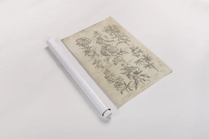 Eden Antique Bookplate III by Wild Apple Portfolio. shown as a rolled paper print. Available as archival giclee rolled canvas, fine art paper, or poster print. SKU 26863h.