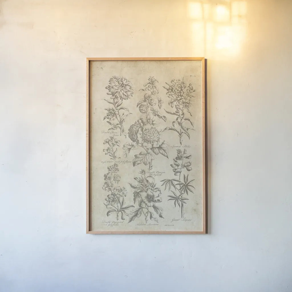 Eden Antique Bookplate III by Wild Apple Portfolio. shown as a paper print in a natural frame. Available as a archival giclee rolled canvas, fine art paper, or poster print. SKU 26863h.