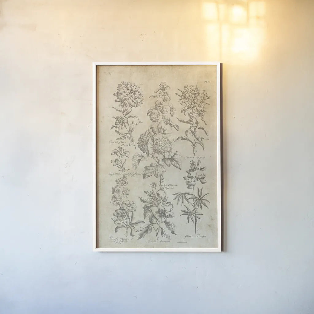 Eden Antique Bookplate III by Wild Apple Portfolio. shown as a paper print in a white frame. Available as a archival giclee rolled canvas, fine art paper, or poster print. SKU 26863h.