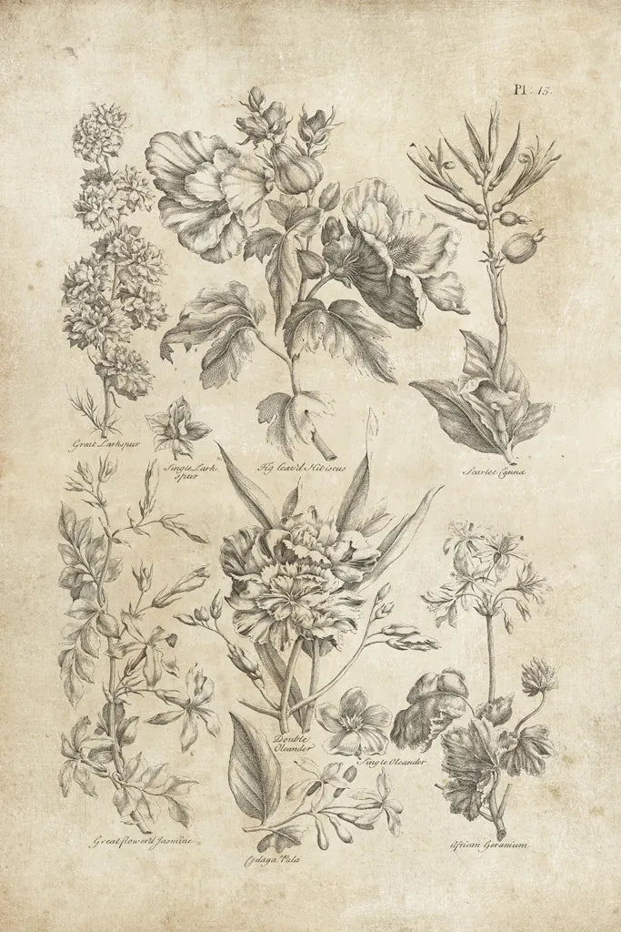 Eden Antique Bookplate IV by Wild Apple Portfolio. SKU 26864h. Archival Giclee Fine art print for wall decor.