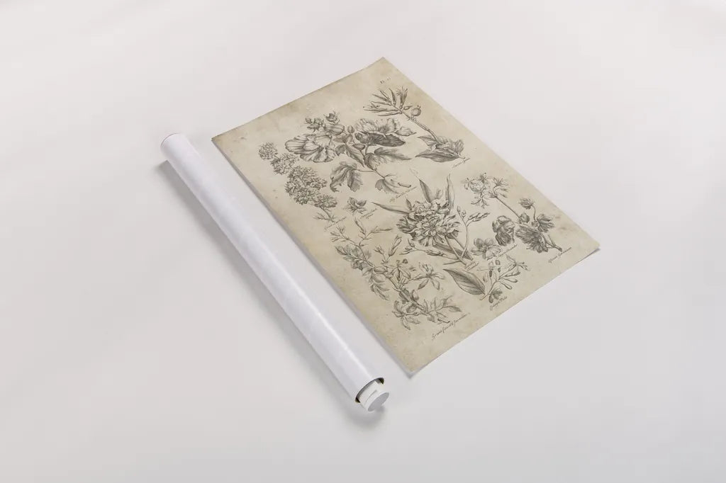 Eden Antique Bookplate IV by Wild Apple Portfolio. shown as a rolled paper print. Available as archival giclee rolled canvas, fine art paper, or poster print. SKU 26864h.