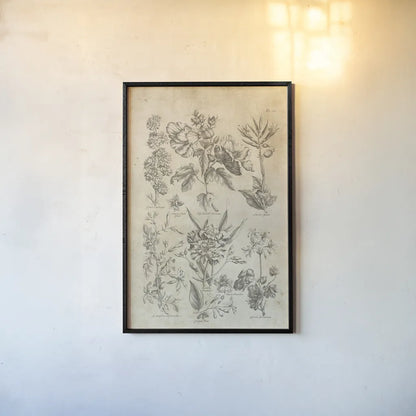 Eden Antique Bookplate IV by Wild Apple Portfolio. shown as a paper print in a black flame. Available as a archival giclee rolled canvas, fine art paper, or poster print. SKU 26864h.