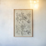 Eden Antique Bookplate IV by Wild Apple Portfolio. shown as a paper print in a natural frame. Available as a archival giclee rolled canvas, fine art paper, or poster print. SKU 26864h.