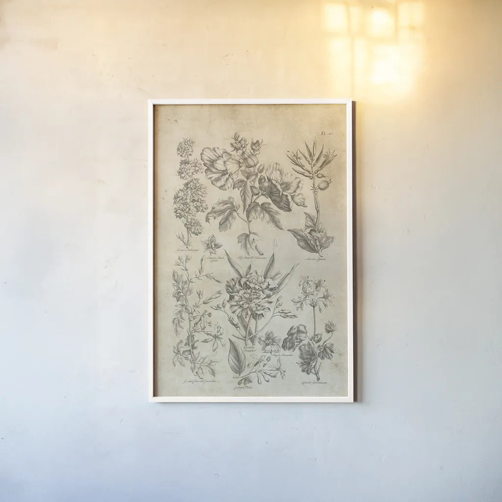 Eden Antique Bookplate IV by Wild Apple Portfolio. shown as a paper print in a white frame. Available as a archival giclee rolled canvas, fine art paper, or poster print. SKU 26864h.