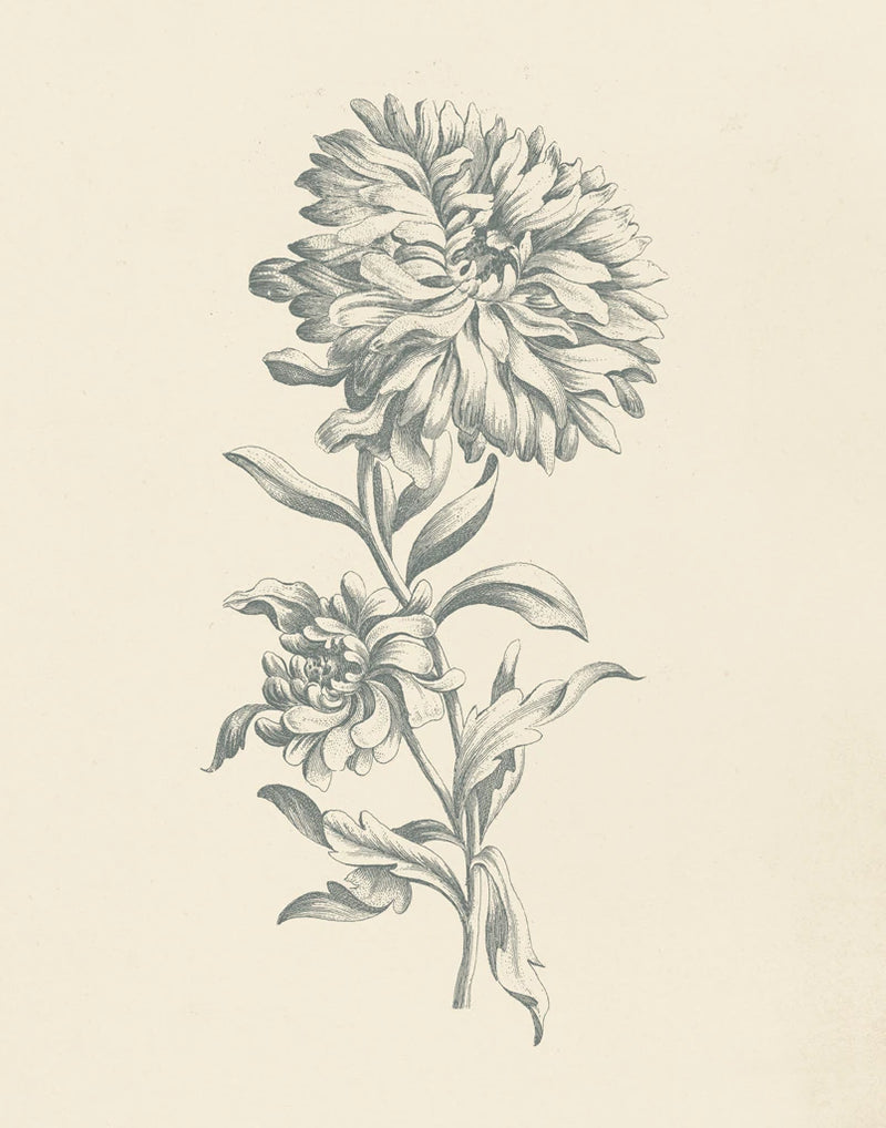 Eden Floral I by Wild Apple Portfolio