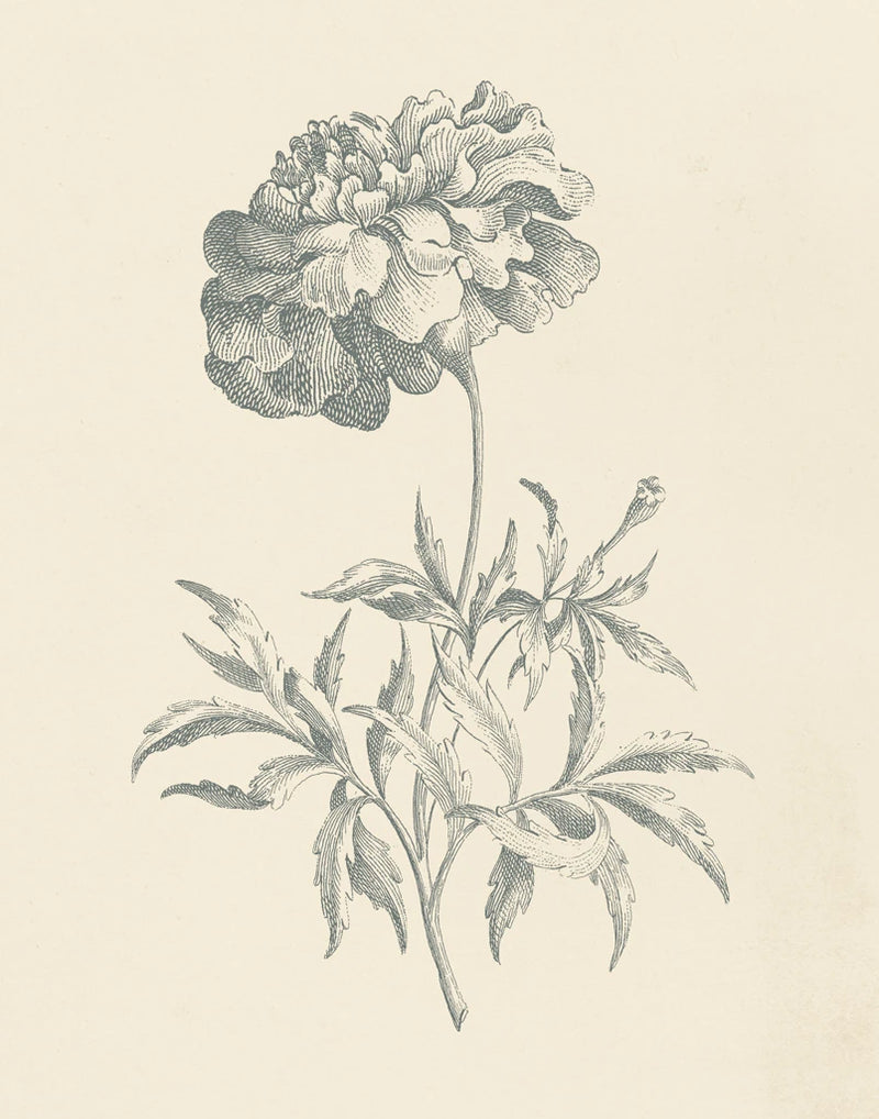 Eden Floral II by Wild Apple Portfolio