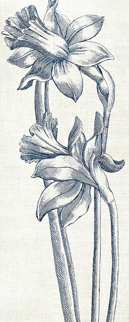 Eden II Indigo and White by Wild Apple Portfolio