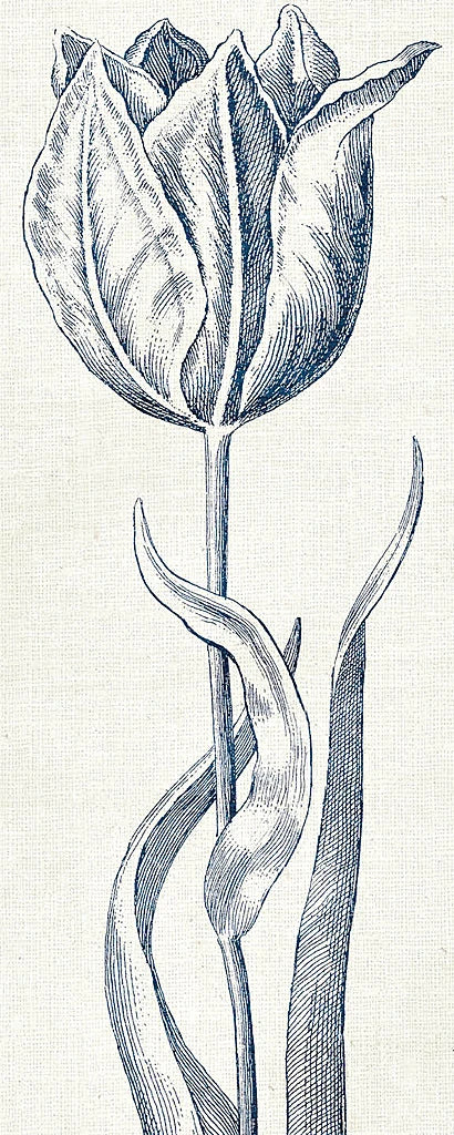 Eden IV Indigo and White by Wild Apple Portfolio