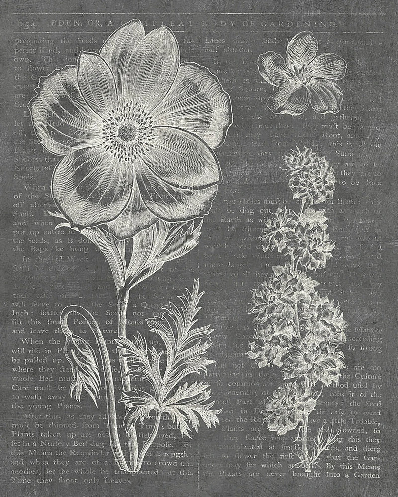 Eden Spring I Gray by Wild Apple Portfolio