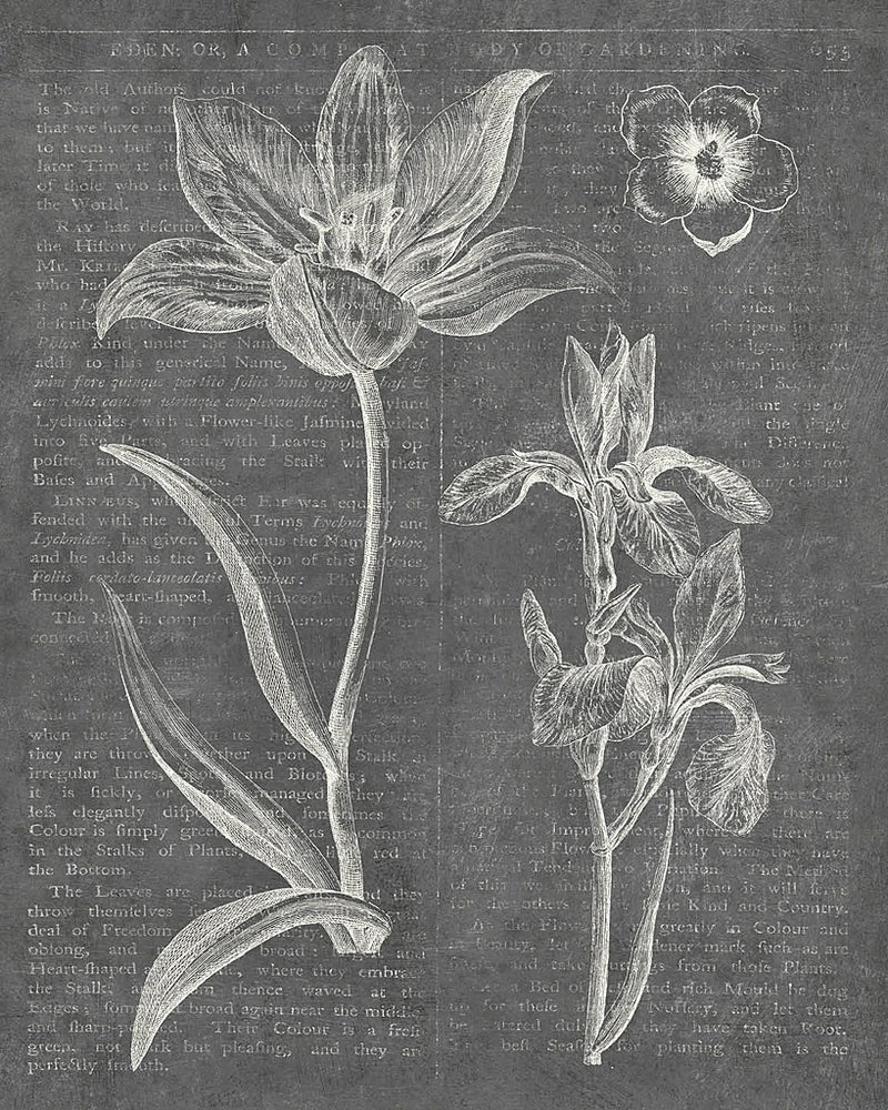 Eden Spring II Gray by Wild Apple Portfolio