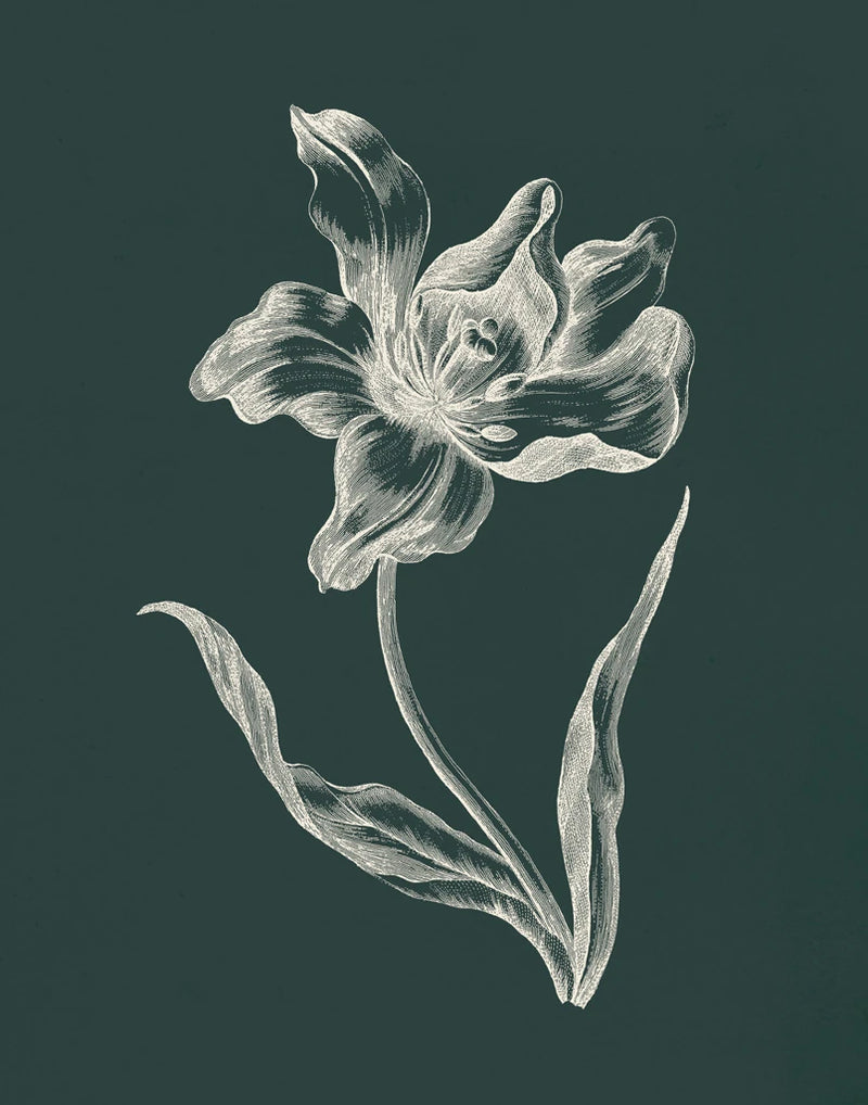 Eden Tulips I by Wild Apple Portfolio