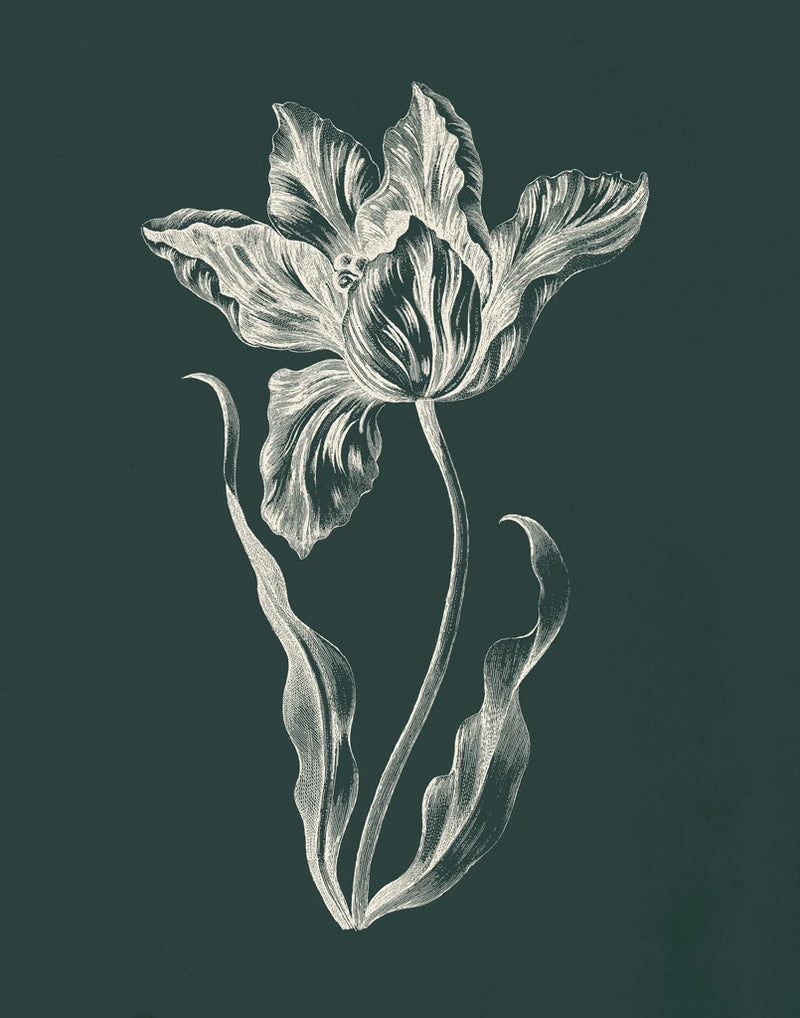 Eden Tulips II by Wild Apple Portfolio