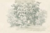Edge of the Woods Sketch by Wild Apple Portfolio. SKU 59697i. Archival Giclee Fine art print for wall decor.
