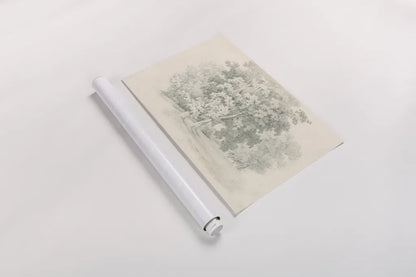 Edge of the Woods Sketch by Wild Apple Portfolio. shown as a rolled paper print. Available as archival giclee rolled canvas, fine art paper, or poster print. SKU 59697i.