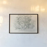 Edge of the Woods Sketch by Wild Apple Portfolio. shown as a paper print in a black flame. Available as a archival giclee rolled canvas, fine art paper, or poster print. SKU 59697i.
