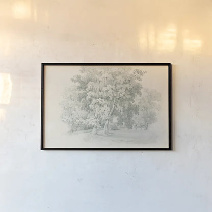 Edge of the Woods Sketch by Wild Apple Portfolio. shown as a paper print in a black flame. Available as a archival giclee rolled canvas, fine art paper, or poster print. SKU 59697i.