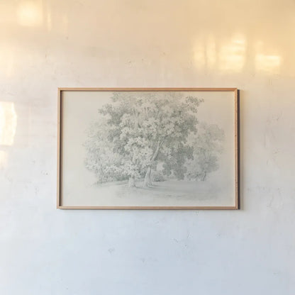 Edge of the Woods Sketch by Wild Apple Portfolio. shown as a paper print in a natural frame. Available as a archival giclee rolled canvas, fine art paper, or poster print. SKU 59697i.
