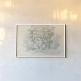 Edge of the Woods Sketch by Wild Apple Portfolio. shown as a paper print in a white frame. Available as a archival giclee rolled canvas, fine art paper, or poster print. SKU 59697i.