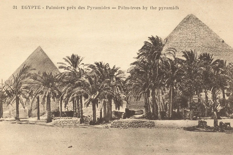 Egypt Postcard II by Wild Apple Portfolio. SKU 71179i. Archival Giclee Fine art print for wall decor.