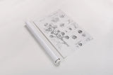 Elements of Botany I by Wild Apple Portfolio. shown as a rolled paper print. Available as archival giclee rolled canvas, fine art paper, or poster print. SKU 39000h.