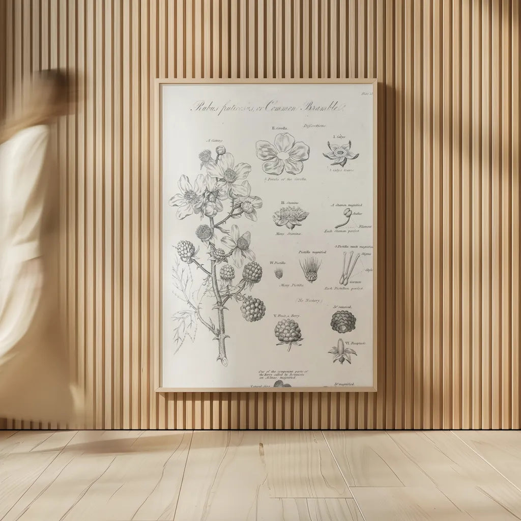 Elements of Botany I by Wild Apple Portfolio. shown as over sized large wall art. Available as an archival giclee rolled canvas, fine art paper, or poster print. SKU 39000h.