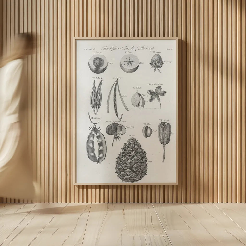 Elements of Botany III by Wild Apple Portfolio. shown as over sized large wall art. Available as an archival giclee rolled canvas, fine art paper, or poster print. SKU 39002h.