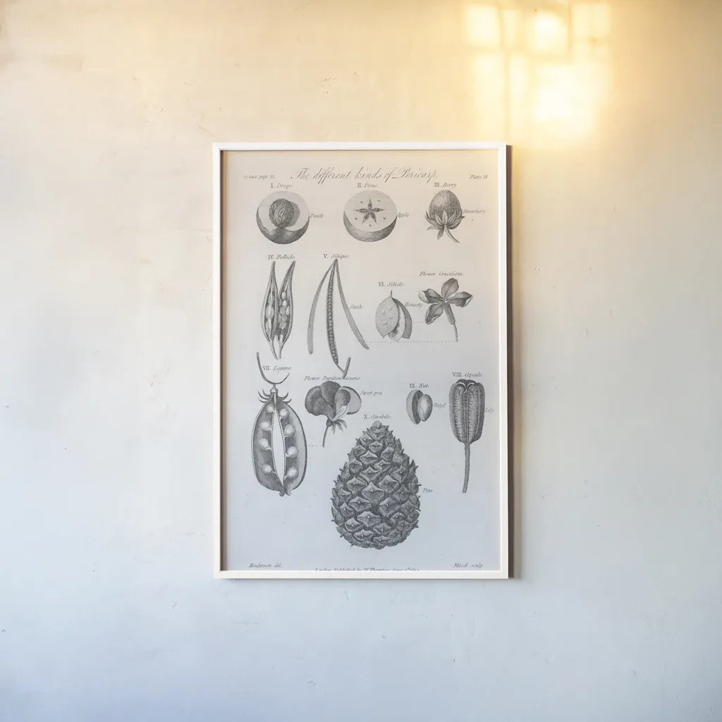 Elements of Botany III by Wild Apple Portfolio. shown as a paper print in a white frame. Available as a archival giclee rolled canvas, fine art paper, or poster print. SKU 39002h.