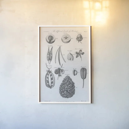 Elements of Botany III by Wild Apple Portfolio. shown as a paper print in a white frame. Available as a archival giclee rolled canvas, fine art paper, or poster print. SKU 39002h.