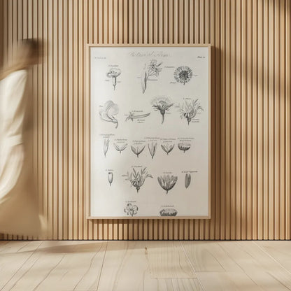 Elements of Botany IV by Wild Apple Portfolio. shown as over sized large wall art. Available as an archival giclee rolled canvas, fine art paper, or poster print. SKU 39003h.