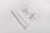 Elements of Botany IX by Wild Apple Portfolio. shown as a rolled paper print. Available as archival giclee rolled canvas, fine art paper, or poster print. SKU 39008h.