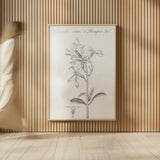 Elements of Botany IX by Wild Apple Portfolio. shown as over sized large wall art. Available as an archival giclee rolled canvas, fine art paper, or poster print. SKU 39008h.