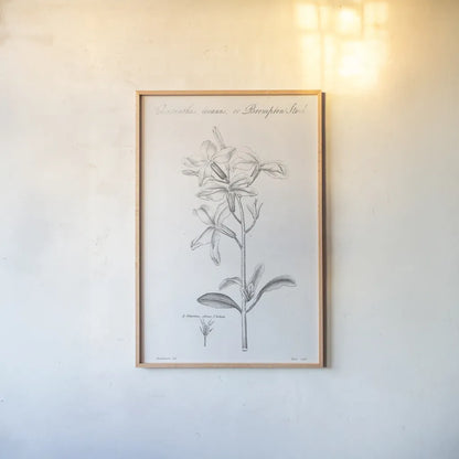 Elements of Botany IX by Wild Apple Portfolio. shown as a paper print in a natural frame. Available as a archival giclee rolled canvas, fine art paper, or poster print. SKU 39008h.