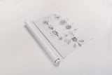 Elements of Botany V by Wild Apple Portfolio. shown as a rolled paper print. Available as archival giclee rolled canvas, fine art paper, or poster print. SKU 39004h.