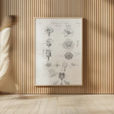 Elements of Botany V by Wild Apple Portfolio. shown as over sized large wall art. Available as an archival giclee rolled canvas, fine art paper, or poster print. SKU 39004h.