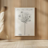 Elements of Botany VII by Wild Apple Portfolio. shown as over sized large wall art. Available as an archival giclee rolled canvas, fine art paper, or poster print. SKU 39006h.